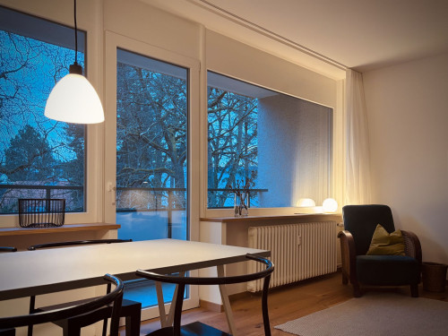 Nice and cute suite in Lichterfelde (Berlin)