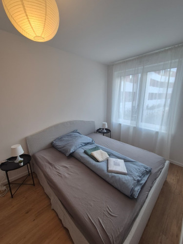 Neat, great studio in Düsseldorf