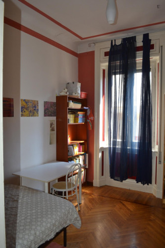 Bright single room in Milano Città Studi-Lambrate