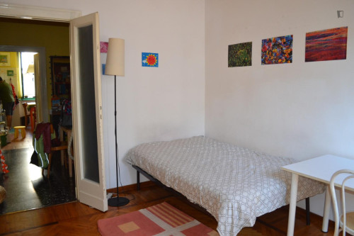 Bright single room in Milano Città Studi-Lambrate