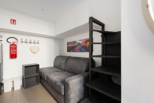 Lovely 1-bedroom apartment in Porta Vuolta