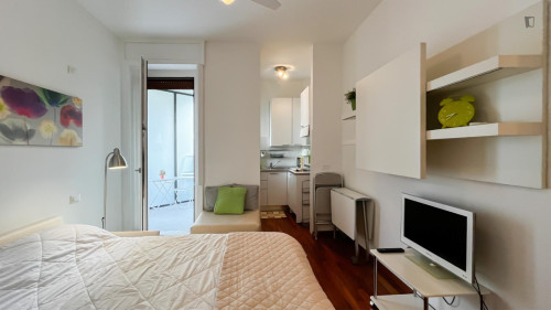 Wonderful studio in Lodi-Brenta