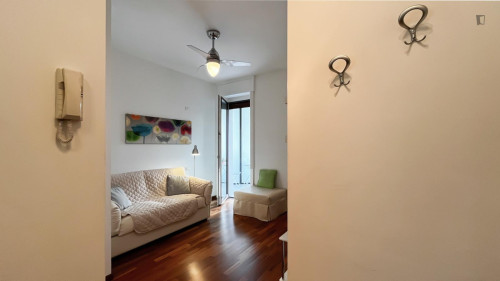 Wonderful studio in Lodi-Brenta
