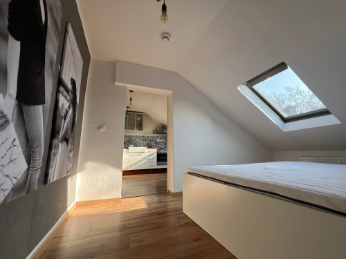 Cozy apartment centrally located in Düsseldorf