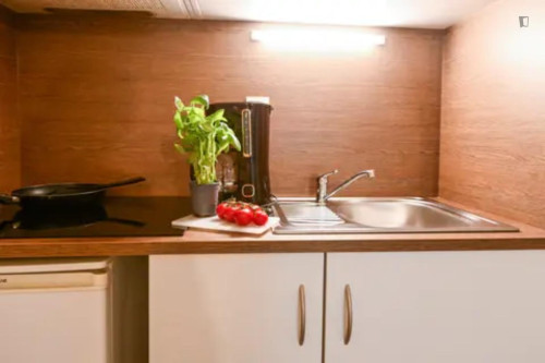 Elegant 2-bedroom apartment in Saint-Cyr-l'École
