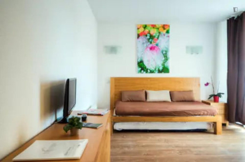 Stupendous studio in Mutzig