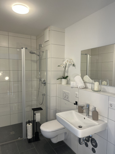 Stylish, centrally located business apartment—all-inclusive and fully furnished, with private rooftop terrace—ideal for project staff/expats