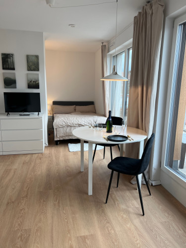 Stylish, centrally located business apartment—all-inclusive and fully furnished, with private rooftop terrace—ideal for project staff/expats