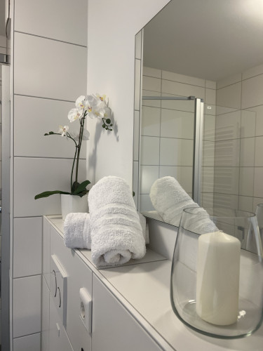 Stylish, centrally located business apartment—all-inclusive and fully furnished, with private rooftop terrace—ideal for project staff/expats