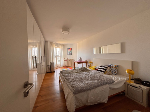 Amazing, charming flat (Mannheim) - Gallery - 8