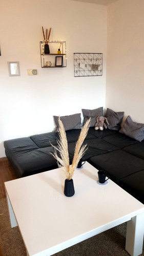 Perfect, fashionable flat (Görlitz)