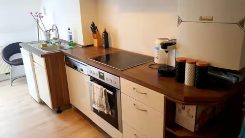 Perfect, fashionable flat (Görlitz) - Gallery - 12