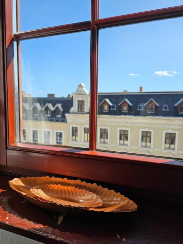 Perfect, fashionable flat (Görlitz) - Gallery - 24
