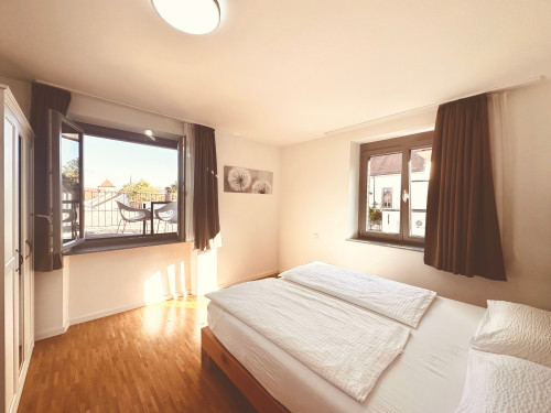 Beautiful, central apartment in Neckarsulm - Gallery - 9