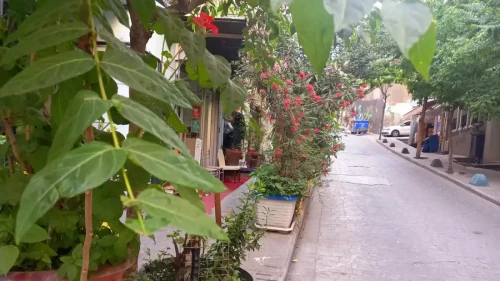 Rooms for rent in 2-bedroom apartment in Istanbul 9 - Gallery - 6