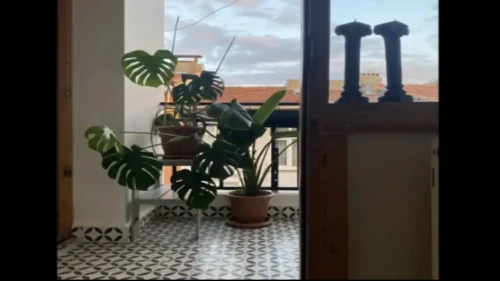 1-bedroom apartment for rent in Kadıköy with bills included ..