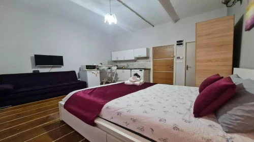 Studio apartment for rent in Istanbul 24