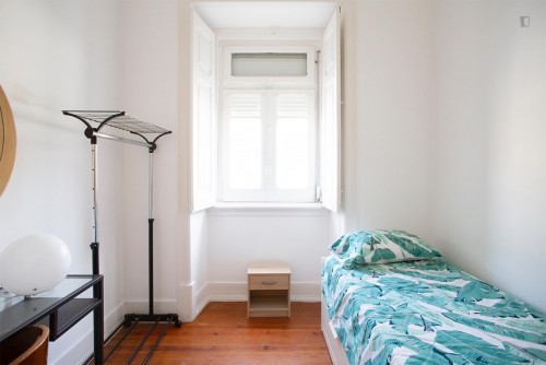 Welcoming single room in Arroios