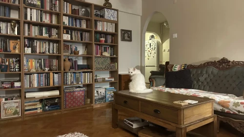 Room in shared apartment in ?stanbul 26