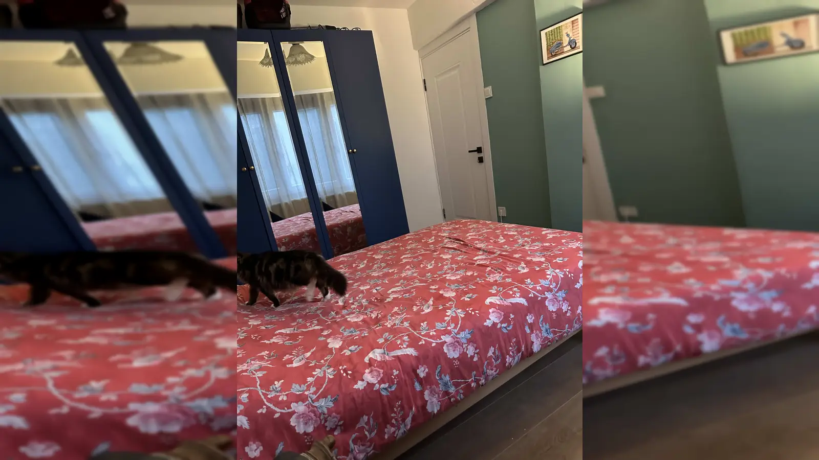  Room  -  Room in shared apartment in ?stanbul 26  - Gallery -  1