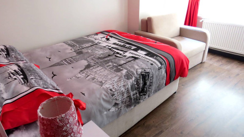1-bedroom apartment for rent in Beyoğlu, bills included 26 - Default