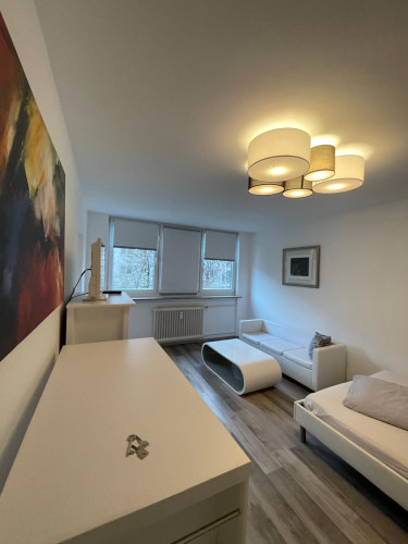 Perfect loft (München-Westend)