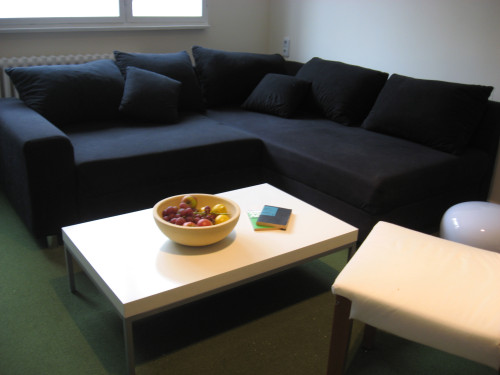 Cute suite near Academy of Arts and Main Station