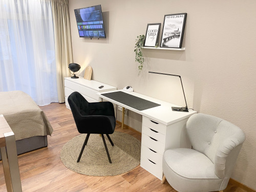 Quiet home located in Heidelberg