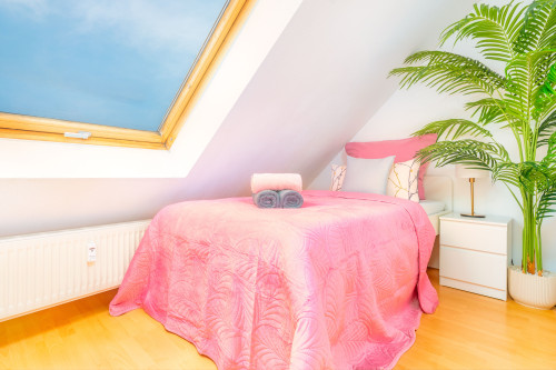 Beautiful apartment in Dresden Neustadt, prime location - Gallery - 9