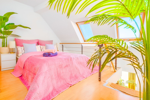Beautiful apartment in Dresden Neustadt, prime location