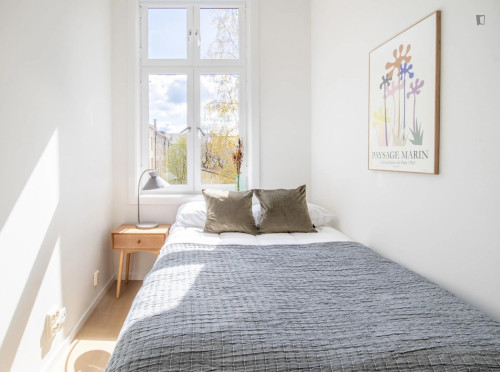 Pleasant single bedroom in shared flat in cool Grünerløkka