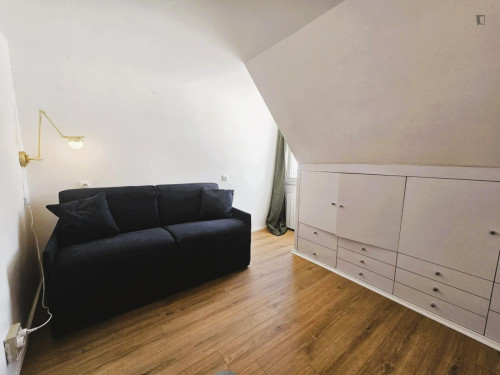 Very nice studio near Jardin des Tuileries