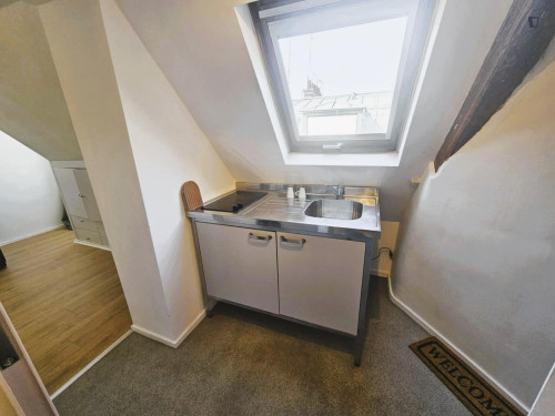 Very nice studio near Jardin des Tuileries