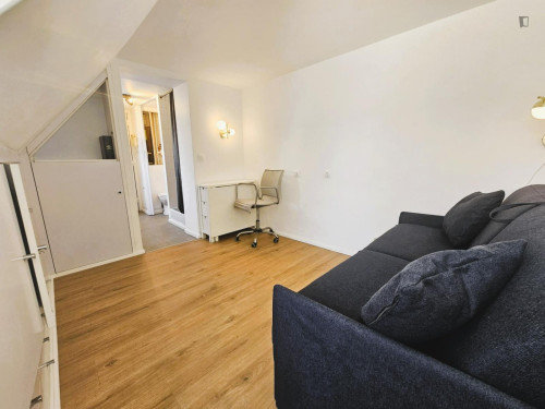 Very nice studio near Jardin des Tuileries