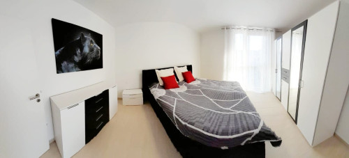 high-quality, fully equipped and fully furnished apartment in Karlsruhe