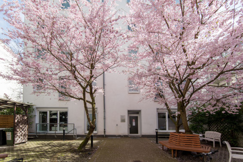 Beautiful Penthouse with South Balcony across from Kulturbrauerei