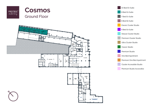 Cosmos - Gallery - 61