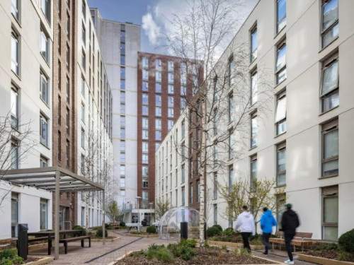  Premium Cluster Studio  -  Cosmos  - Gallery -  1