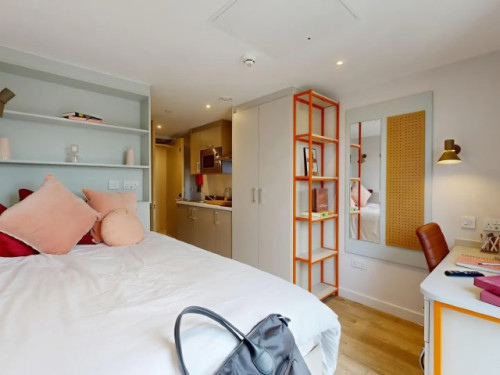  Classic Studio  -  Cosmos  - Gallery -  1