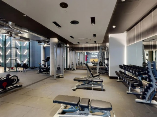  Deluxe Cluster Studio  -  Cosmos  - Gallery -  1