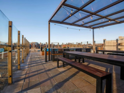 Cosmos  - Gallery -  5