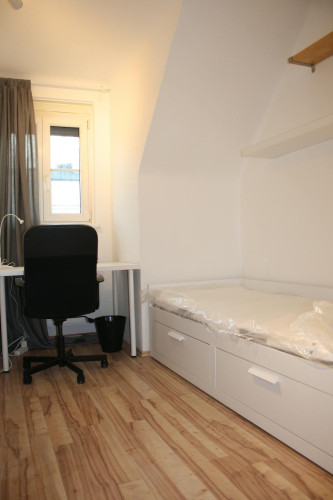 Weisselgasse, Vienna