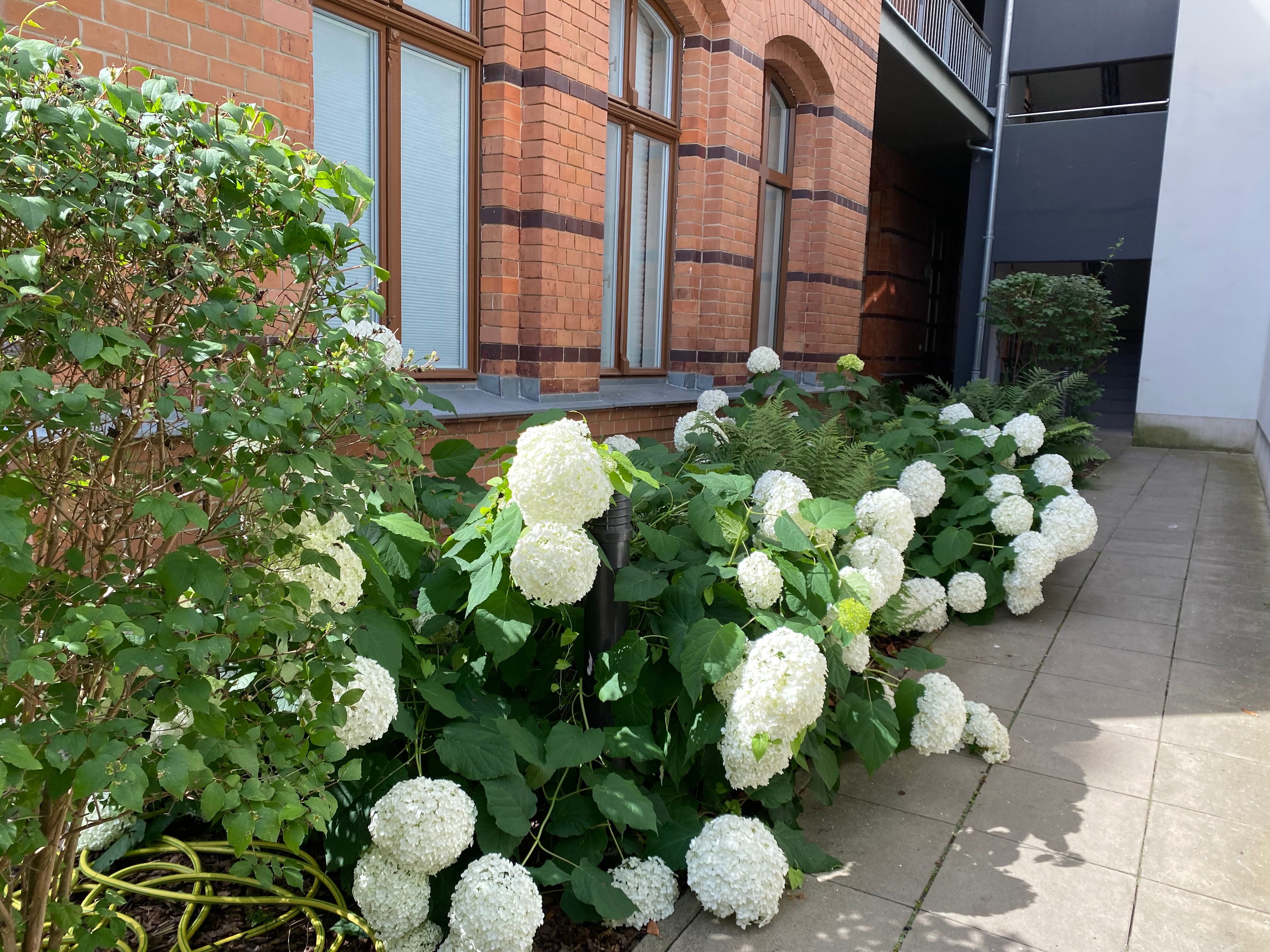  A Similarly Beautiful, Heritage-Protected Apartment Near Sanssouci Park  -  A similarly beautiful, heritage-protected apartment near Sanssouci Park  - Gallery -  6