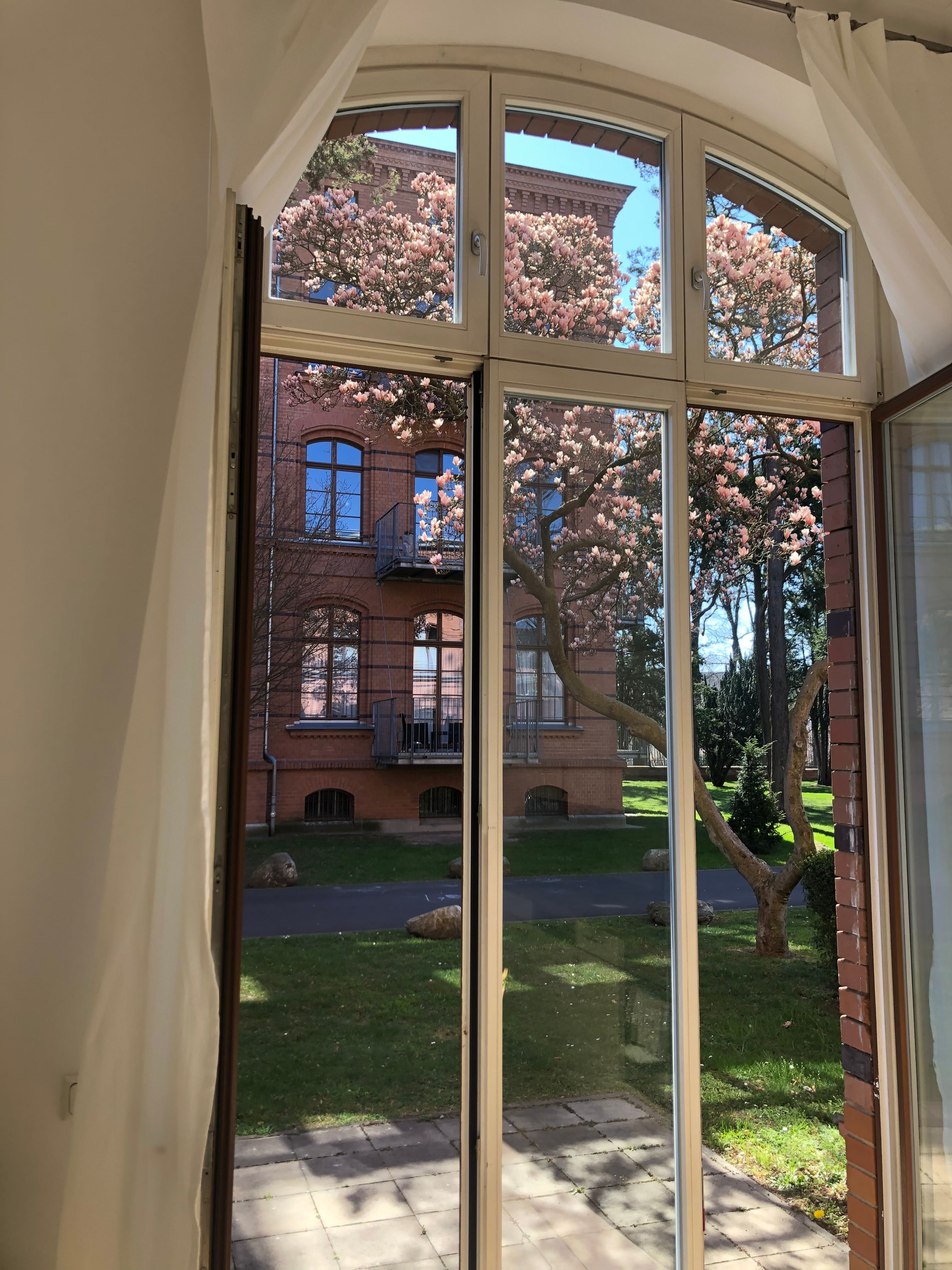 A Similarly Beautiful, Heritage-Protected Apartment Near Sanssouci Park - A similarly beautiful, heritage-protected apartment near Sanssouci Park - Gallery - 20