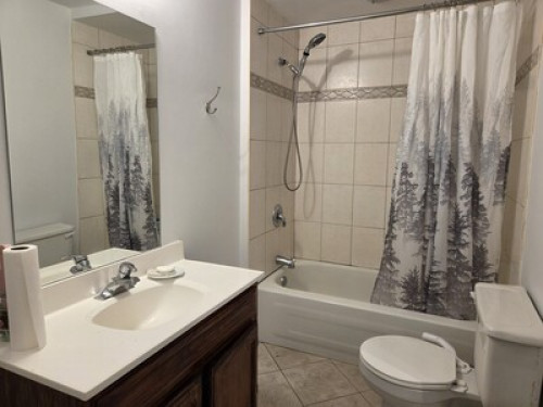 Bird song  - Gallery -  5