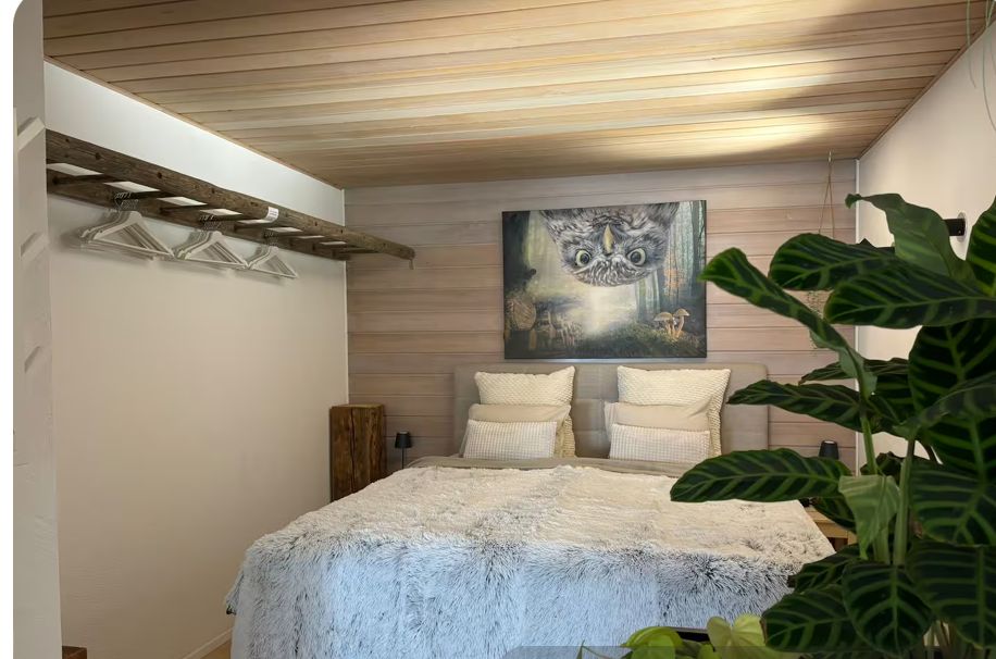  Eulenschlupf, Modern Flat Located Bei Waldshut  -  Eulenschlupf, Modern flat located bei Waldshut  - Gallery -  5