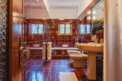 Nice single bedroom in Forlanini