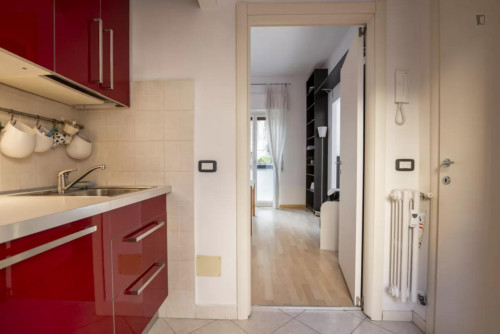 Excellent studio in the Città Studi - Politecnico neighbourhood  - Gallery -  5