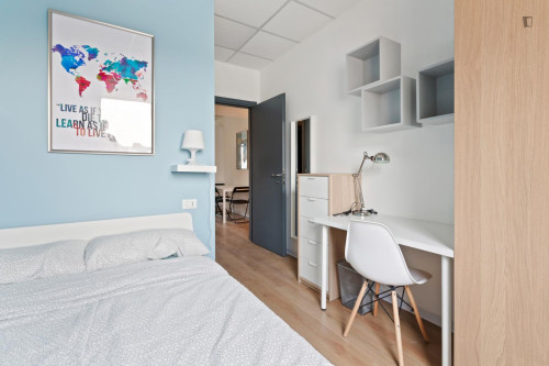 Pleasant double bedroom in a student flat, in Lambrate