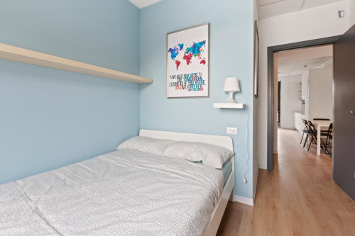 Pleasant double bedroom in a student flat, in Lambrate